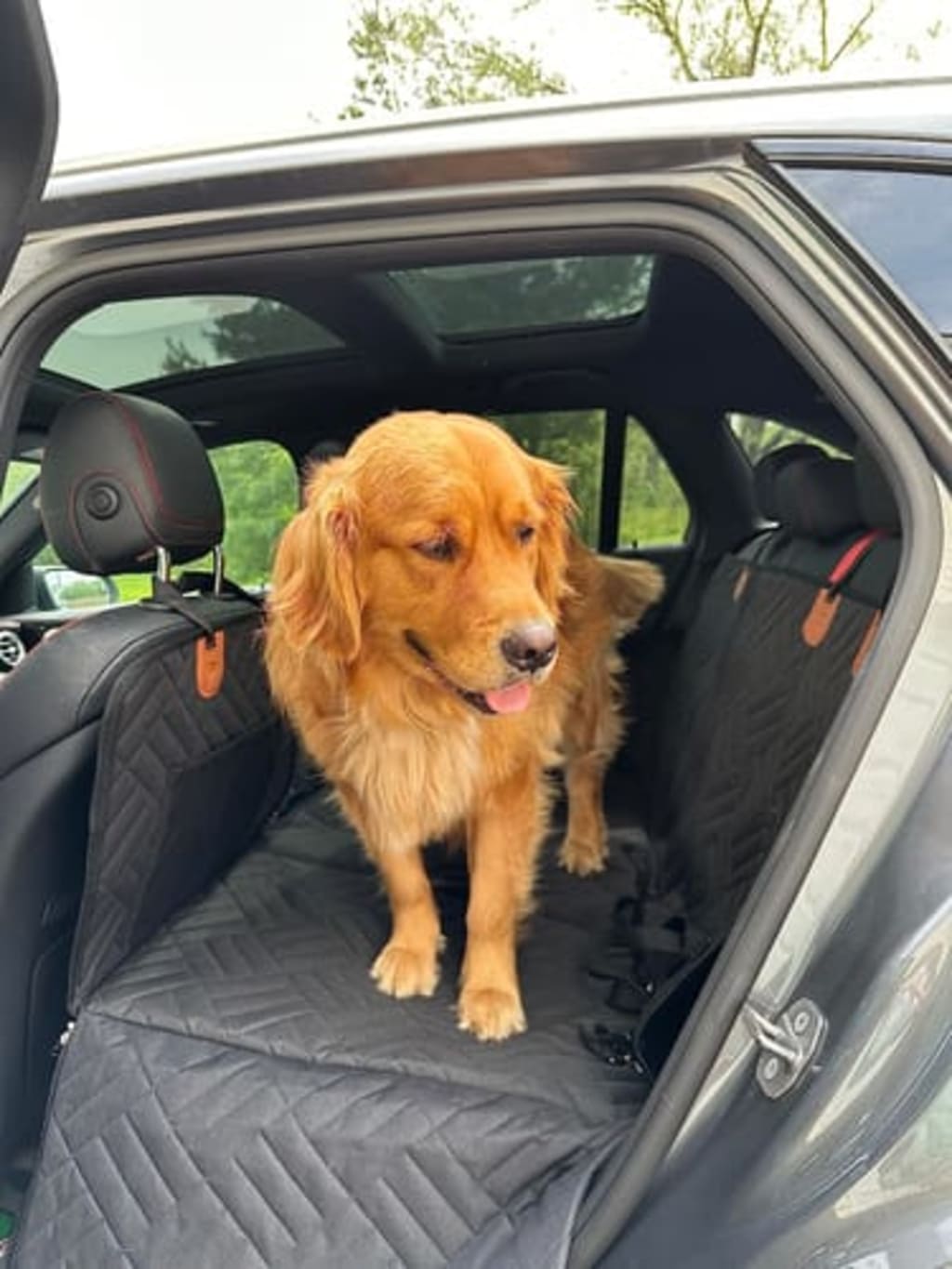 Hard Bottom Seat Cover