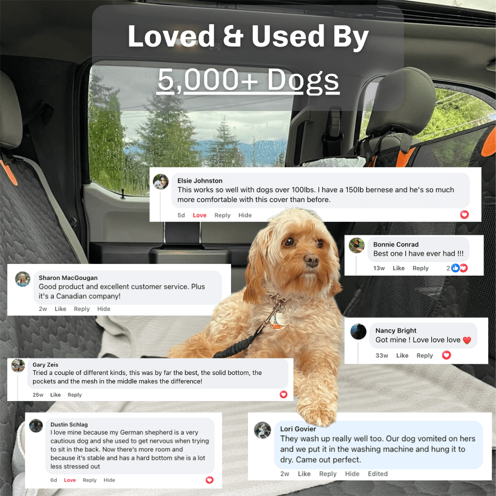 Hard Bottom Seat Cover