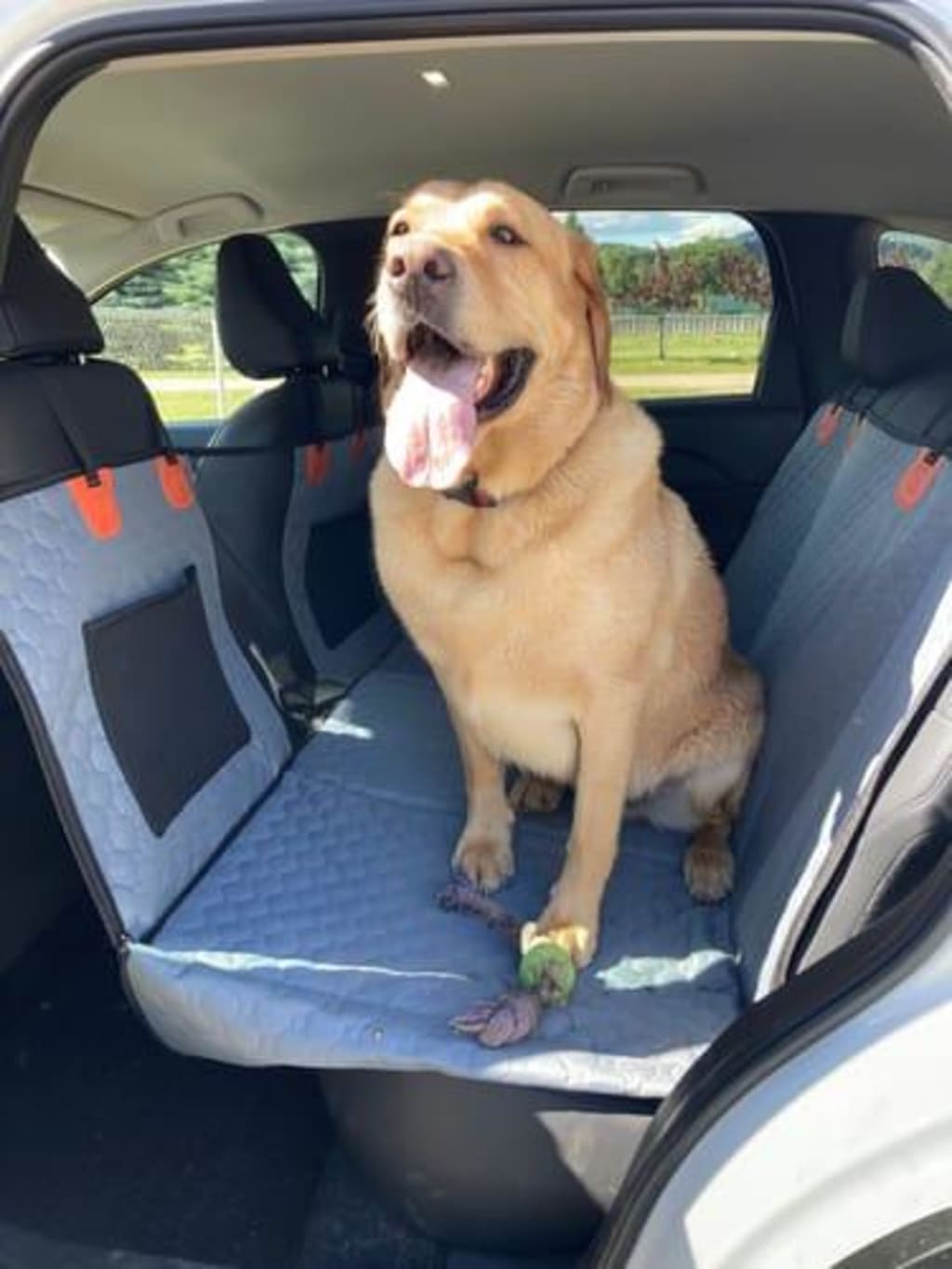 Hard Bottom Seat Cover