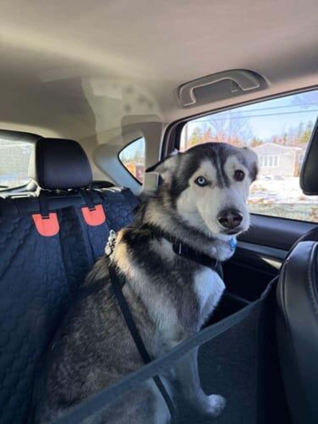 Hard Bottom Seat Cover
